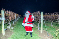 Lighting of the Vines at Wolffer Vineyards