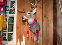 Marders at Christmas