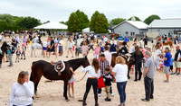 Hampton Classic Opening Day